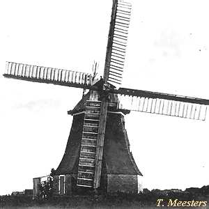 Windmhle Wustrow - in alter Pracht 1915