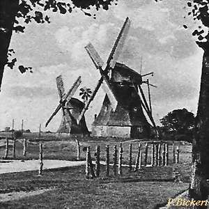 Windmhle Wustrow - Mhlengruppe 1900
