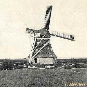 Windmhle Wustrow - in alter Pracht 1900