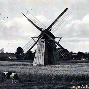 Windmhle Zingst Wilde - Ansicht 1925