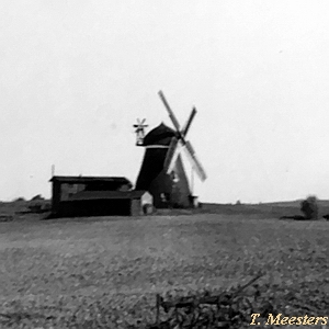 gefundener Standort Windmühle Nr 23