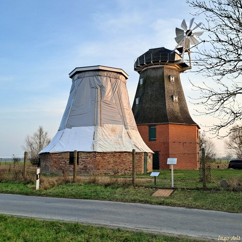 Sanierung Achtkant Erdhollnder 2024